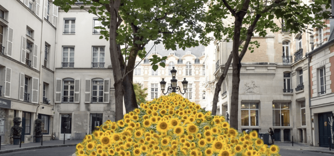 LE FESTIVAL PARCOURS SAINT GERMAIN FETE SES 20 ANS