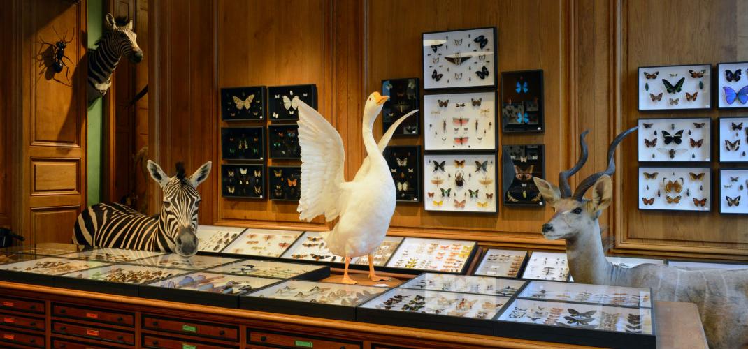 These small museums in Paris, sometimes secret, sometimes unexpected!