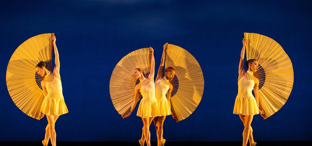 Momix - A unique show at the Champs Elysées theatre