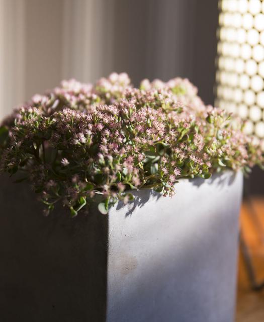 Hôtel Signature St Germain des Prés - Balcon chambre Cosy 6ème étage mansardée